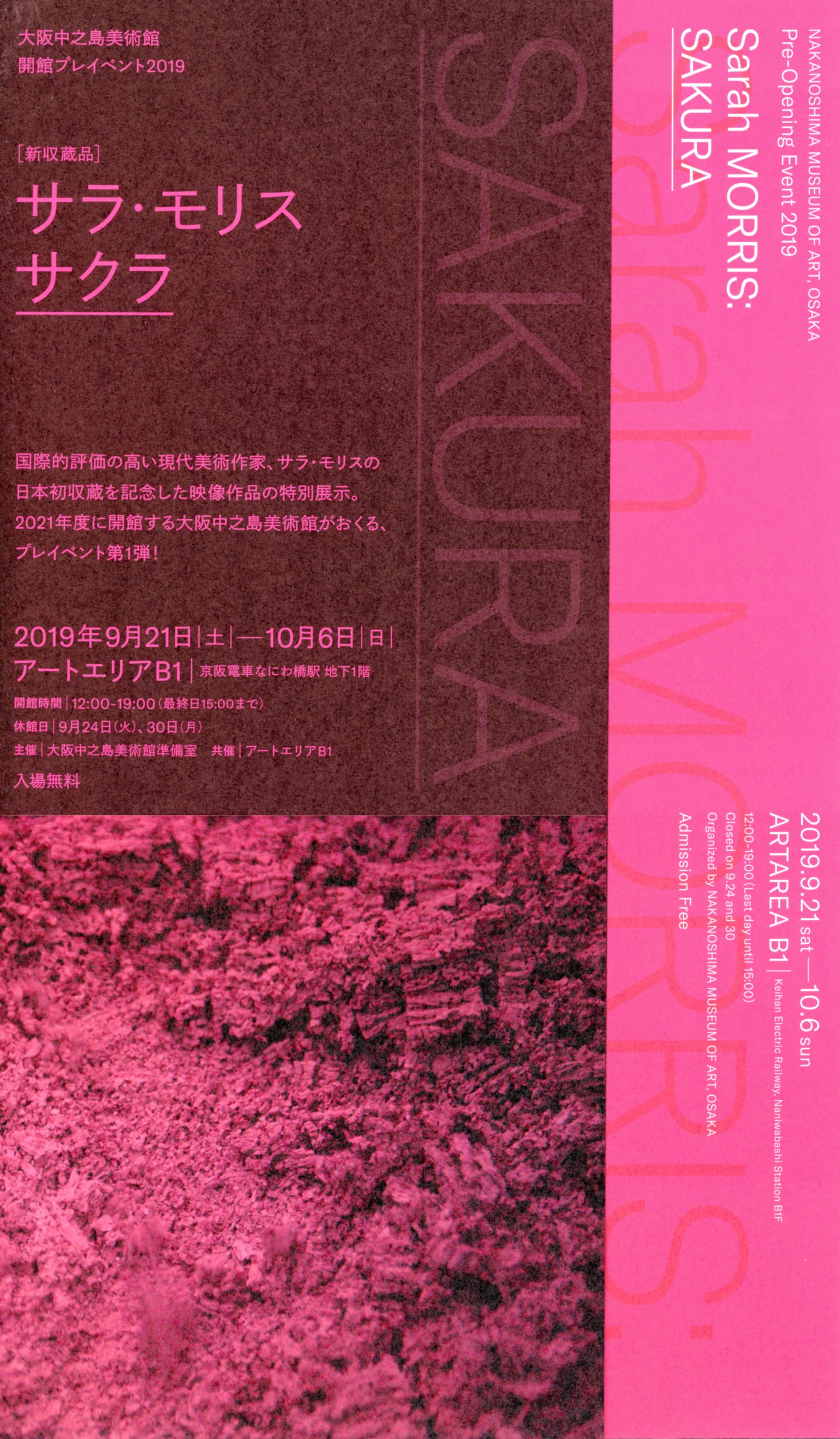 大阪中之島美術館開館プレイベント2019「新収蔵品：サラ・モリス《サクラ》」