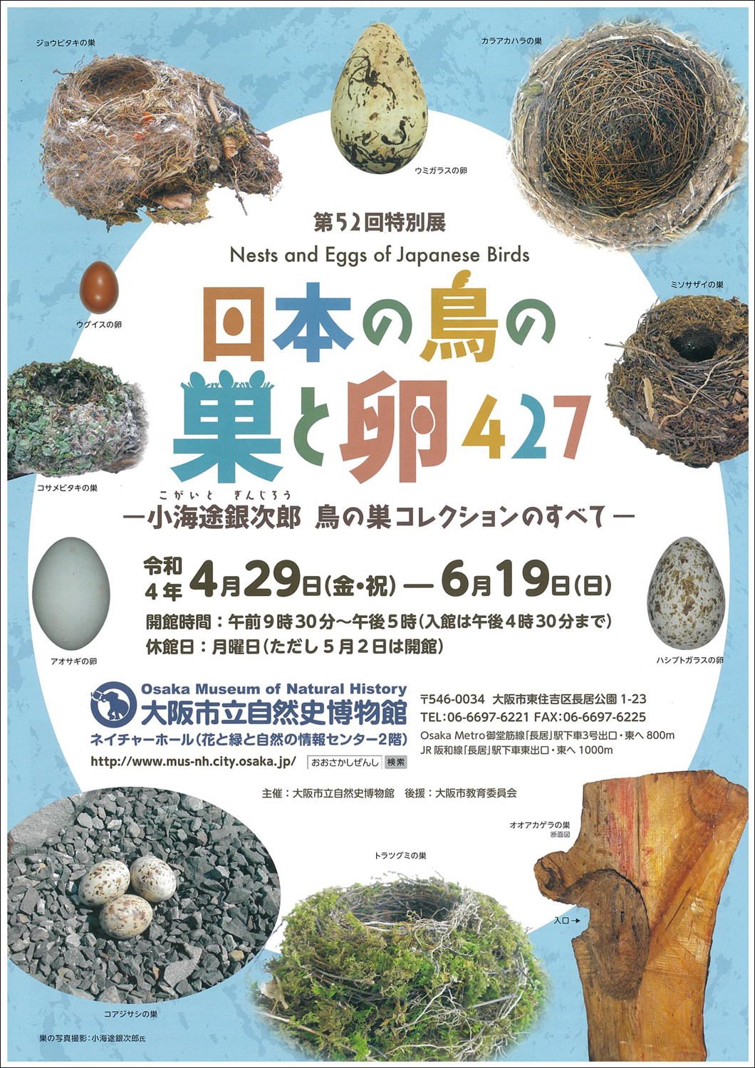 特別展「日本の鳥の巣と卵427 ～小海途銀次郎 鳥の巣コレクションのすべて～」