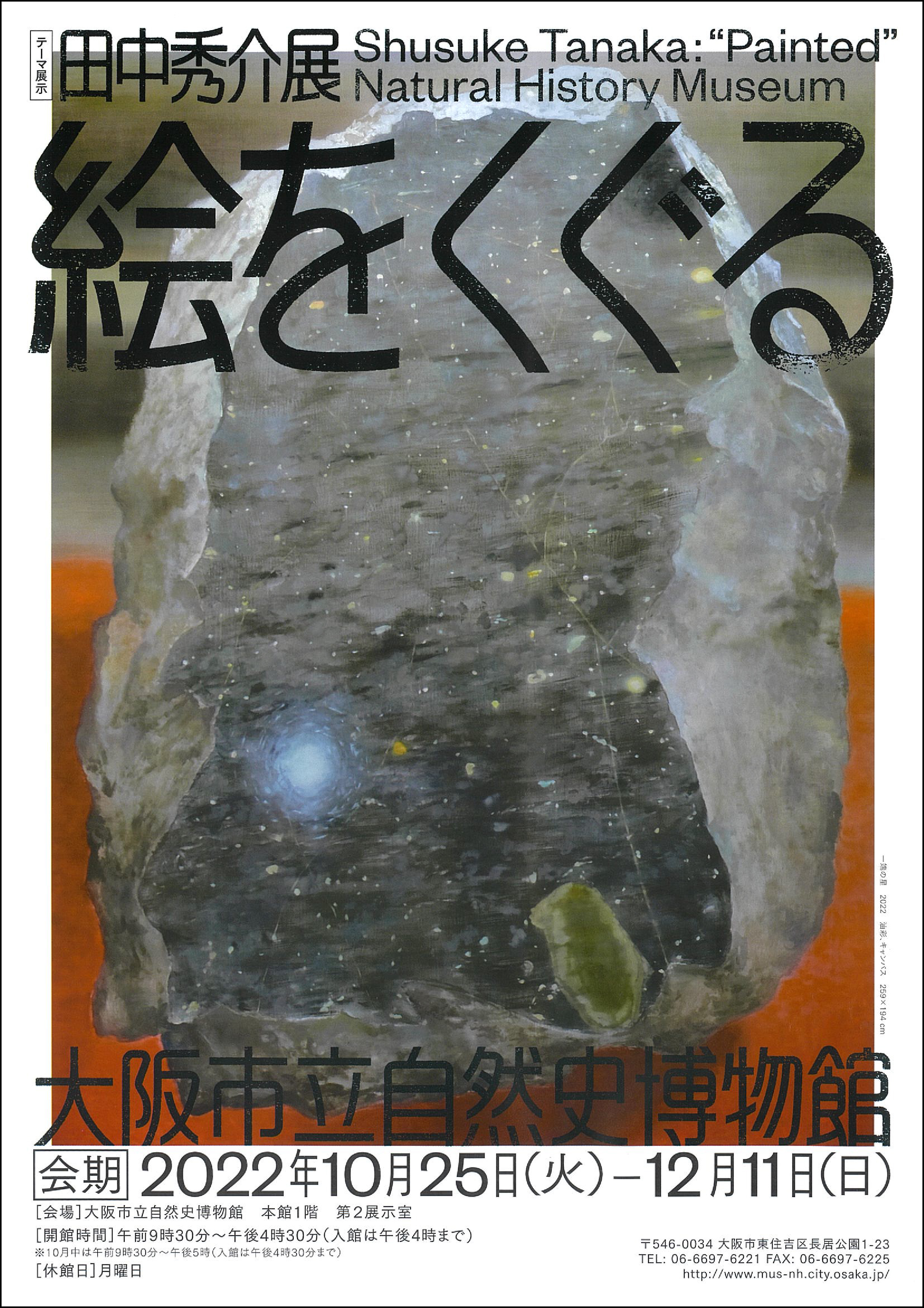 テーマ展示「田中秀介展：絵をくぐる大阪市立自然史博物館」
